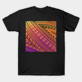 Fiesta Pattern T-Shirt